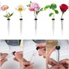 GNAUMORE Plastic Flower Tubes, Test Tubes for Flowers, Transparent, Flower