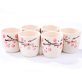 Whitenesser Japanese Sake Cups Set of 6, Ceramic Sake Cups (Red)