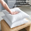 QSWRD 18 x 18 Throw Pillow Inserts Pack of 2