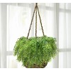 Artificial Weeping Willow, Plastic Plants Greenery Leaves Fake Hanging Vine