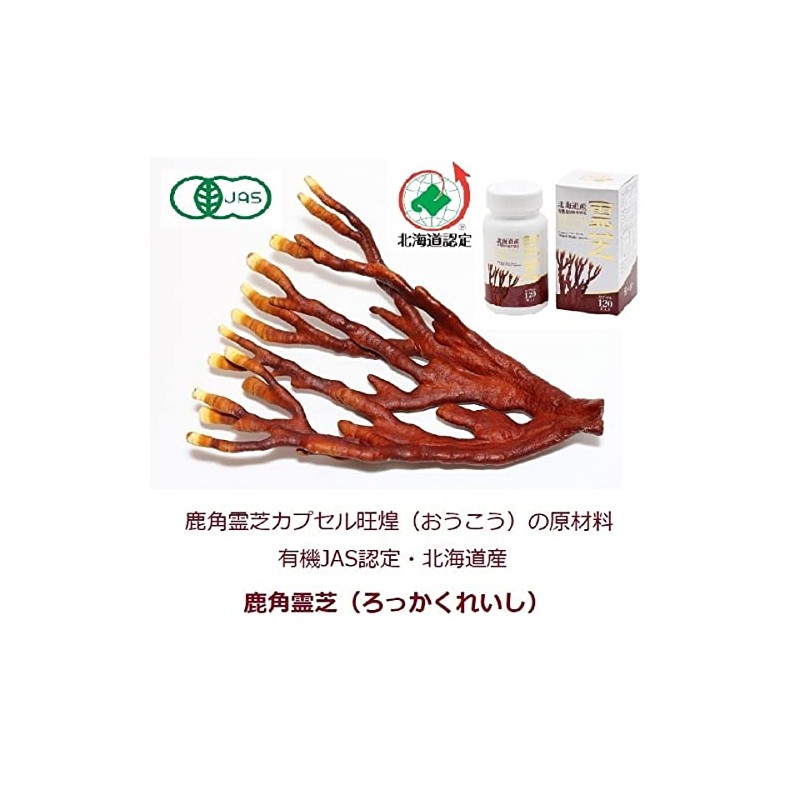 Hokkaido Reishi Oukou Capsules 120