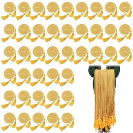 100 Pieces Graduation Cords Graduation Cords with Tassels Braided Honor Cord 67'' Tassel Graduation Cord for College Students Graduation Ceremony Party Photograph Accessory (Gold)
