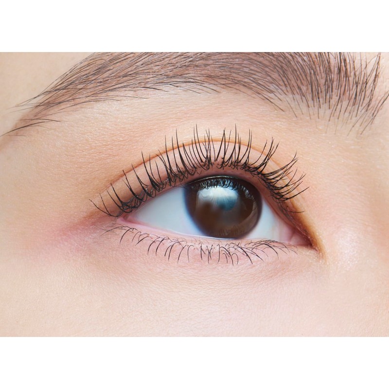Dejavu デジャヴュ Paint-on False Eyelashes Upward Type Keep Style 1