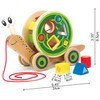 Hape Walk-A-Long Snail Pull Toy |Award Winning Toddler Wooden Push