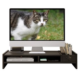 Catekro Monitor Stand Plastic Monitor Stand Desk Screen Riser Monitor Riser for Laptop PC Monitor (Black)