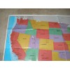 Teaching Tree Wall Map of the United States, Texas Florida