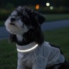 Anti Dust Pants with Shoes for Dogs,(Fit Weight: 1.8-3.2 lbs)
