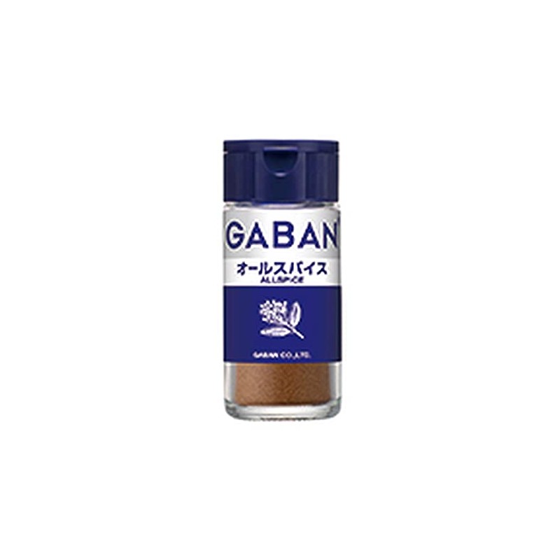 House GABAN All Spice Powder 0.6 oz (16 g) x
