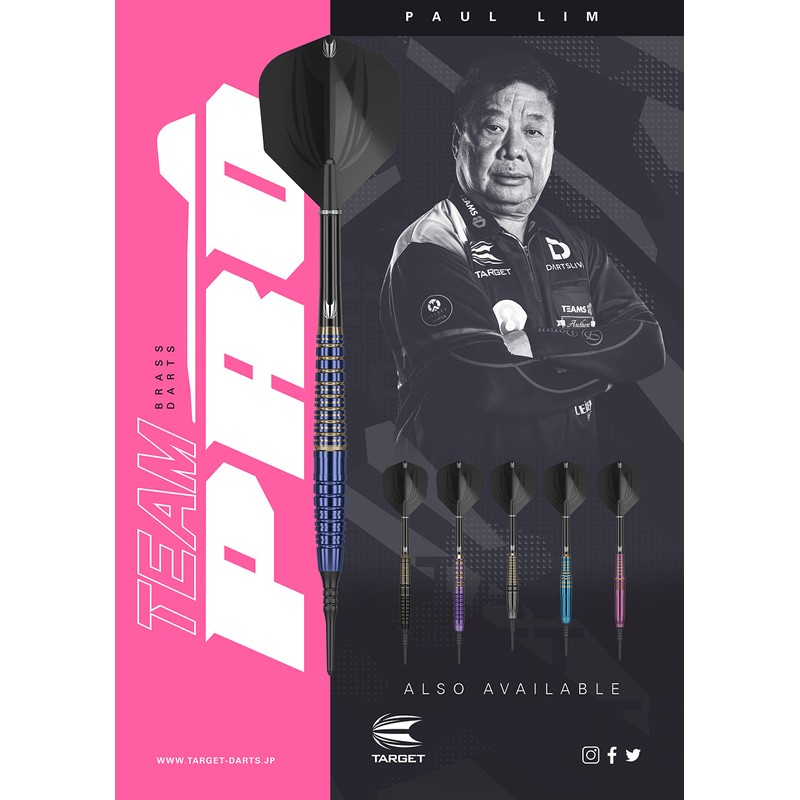 TEAM PRO Series PAUL LIM BRASS 17G 2BA Brass Darts