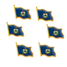 6Pack-US Vermont VT State Lapel Pins Waving Flag America Patriotic Pins Bulk Metal Souvenir Series Gifts-1”