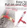 ThinkPet Reflective Breathable Soft Air Mesh No Pull Puppy Choke