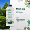 16oz Tree and Shrub Plant Food - Makes 16 Gallons