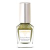 Canmake Colorful Nails N107 Leak Leaks 8ml Nails, High Color,