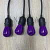 NIOSTA S14 Replacement Incandescent Bulbs, 15 Count Ceramic Purple, 11W