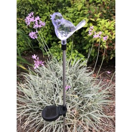JAYXC HOME Set of 2 Clear Acrylic Bird Solar Garden Yard Landscape Path Stick LED Lights