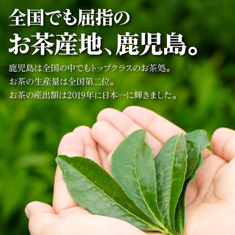 Tea Wholesaler's Super Delicious Kagoshima Tea Kagoshima Tea Japanese Tea