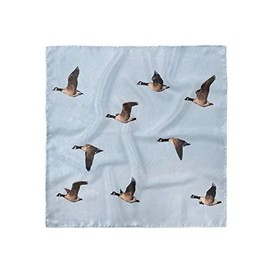 Lunarable Geese Headscarf, Birds Flying in Clear Sky, Hijab Scarf, 21" X 21"