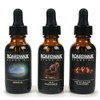 Boardwalk Beard Oil (Original)