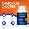Lyte Balance Ammonium Chloride + Potassium Phosphate Supplement | Nutritional