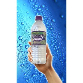 Fruit2O Zero Calorie Flavored Water Grape 16.9oz (12 bottles) + Adirondack Enhanced Water White Grape Fruit Flavored Beverage 16.9oz (12 bottles) + Water Seltzer Original 1 Liter + Coffee Candy Market Basket 5oz