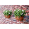 elho Vibia Campana Wall Basket 35 - Planter for Balcony