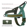 Annchwool No Pull Dog Harness with Padded Handle+5 Ft Leash,Reflective