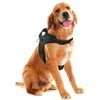 MASCRETTA Arnés Pechera Deportiva Reflectante para Perro Talla Grande