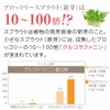nichie ブロッコリースプラウト パウダー 30g