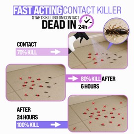 Granny Dee’s Silverfish Killer Indoor & Outdoor (Made in USA) - Kills Pests in 24 Hrs - Plant-Based Bug Killer with Peppermint Oil - Safe for Pets & Kids - Targets Earwigs, Ants, Insect, Fly & Spider