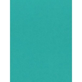 Neenah Astrobright 25 Sheets - Teal Cardstock - 65# Astrobright 8.5 x 11