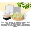 Soy Sprout Growing Set All-in-One Complete Set for Home: Simple,