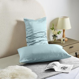 Silk Body Pillow Cover Pillow Pillowcase for Body Pillow Soft Pillow Covers Pillow Case Mulberry Silk Pillowcase for Sleep(Haze Blue,20"X 54",1pc)