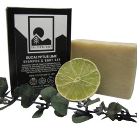 Organic Natural Shampoo and Conditioner Soap Bar for Haircare - Scent: Eucalyptus Lime