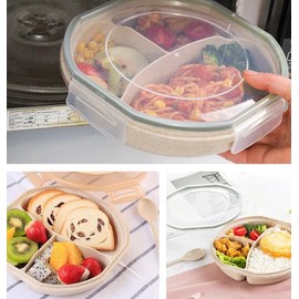 C + B Supplies Wheat Straw Bento Plate Set, 7.87 in x 7.87 in x 1.89 in, Beige, Champagne/Green, 51147