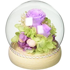 Tokai Seiro's Tokai Wax Flower Gift Glass Dome Arrangement Yuka C24920 Φ10x11.2cm