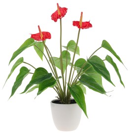 Quancru 16.5 Inch Realistic Artificial Anthurium Flower Red Fake Flamingo Flower Simulated Andraeanum Plant Pot Decoration Table Photography Bonsai
