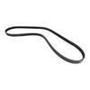 CONTITECH 5PK1240 V-Ribbed Belt