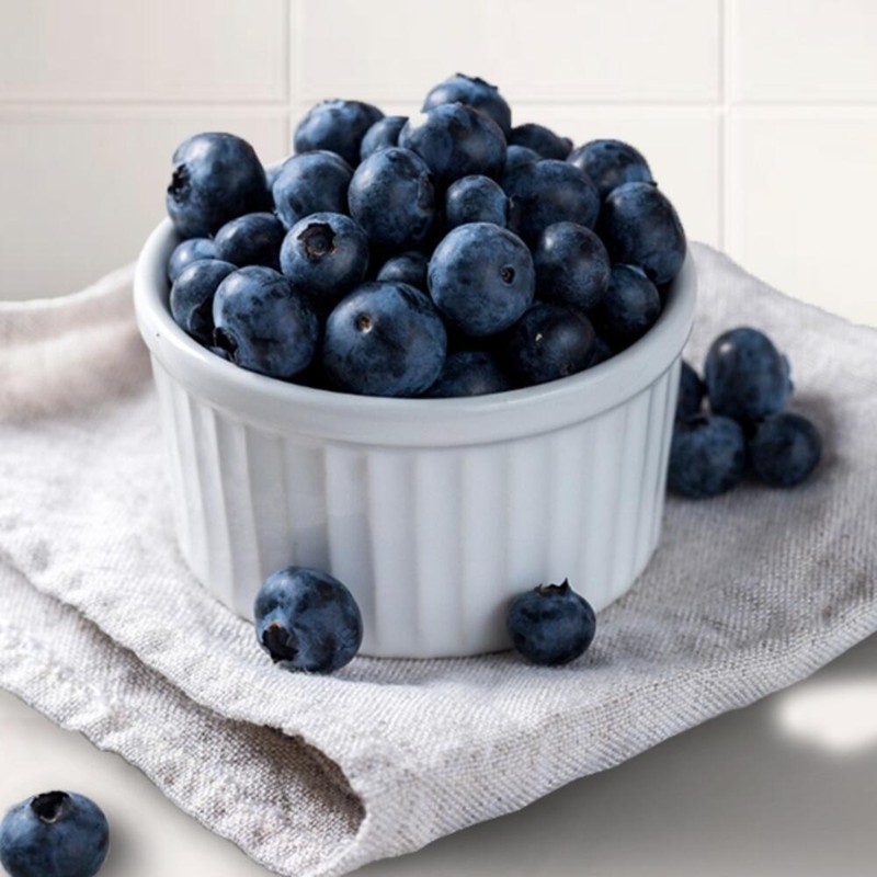 100% blueberry puree squeezed blueberry sticks 3 x Nutrinus /