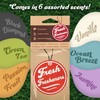 Piggy Pig Car Air Freshener 3 Pack Scented with Essential