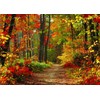LYWYGG 7x5FT Autumn Scenery Backdrop Fall Backdrops Road Photography Backdrop
