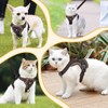 GlasFlength Cat Harness with Lead, Escape Proof, Cat Lead with