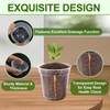 120 Pcs 2" Clear Mini Nurery Pots, Seedling Pots with
