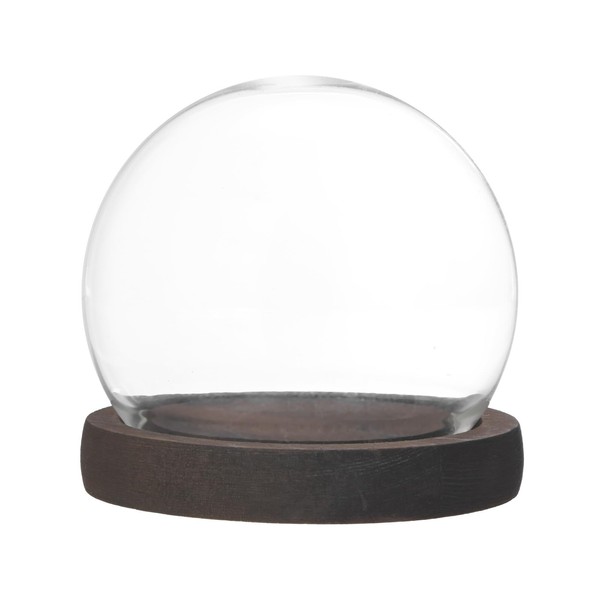 M METERXITY Cloche Glass Dome, D3.9In Ball Jar with Wooden