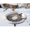 Kakalote Birdbaths De-icer 70W Heater with Thermostatical