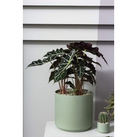 Kendal Collection Ceramic Vase (97523.05) Modern Pot Decor for Home or Office l Indoor and Outdoor Planter for Any Event Decorations (8.5"x 9" (Green))