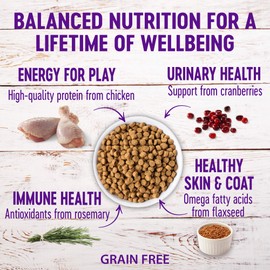 Wellness Complete Health Grain Free Senior Dry Cat Food, 5 Pound Bag