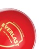 SG Everlast Leather Cricket Ball , Red , Standard Size