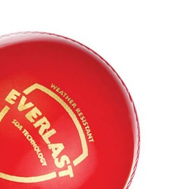 SG Everlast Leather Cricket Ball , Red , Standard Size