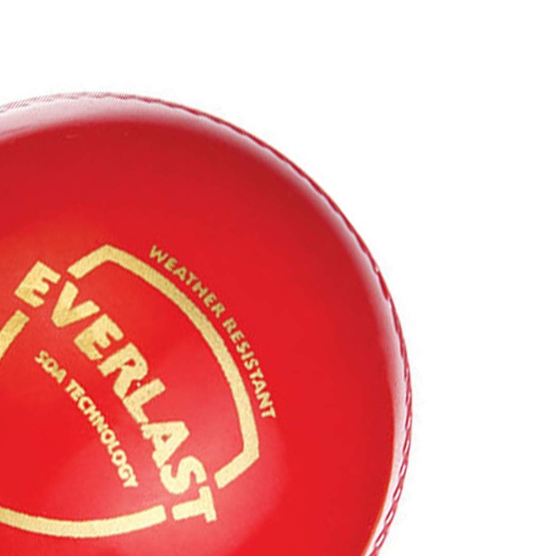 SG Everlast Leather Cricket Ball , Red , Standard Size