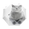 FORMRS Automatic Umbrella, British Shorthair Cat Umbrella Compact Lightweight, Waterproof